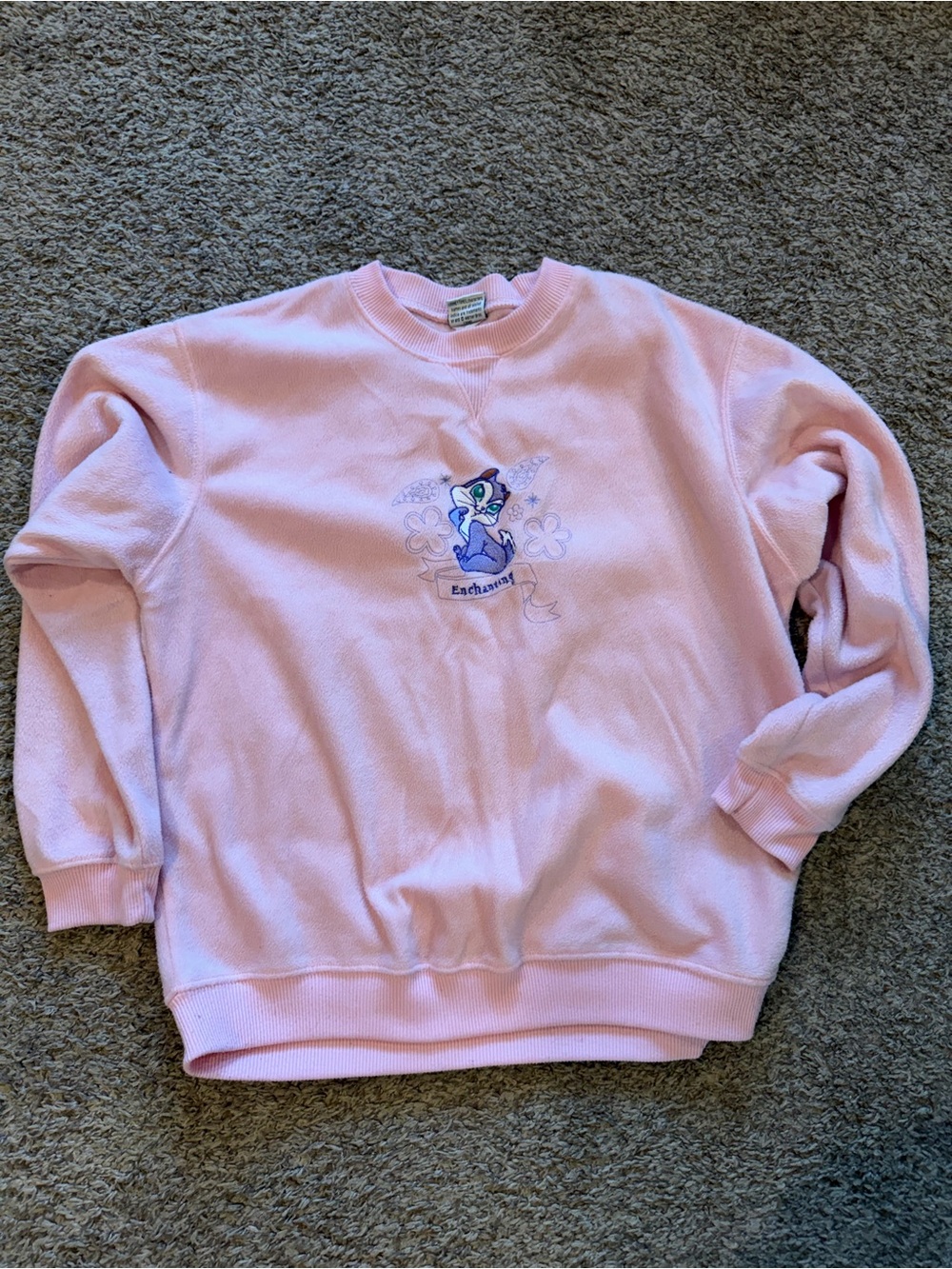 Y2K vintage looney tunes Pink Graphic Cozy Sweatshirt - Enchanted Design